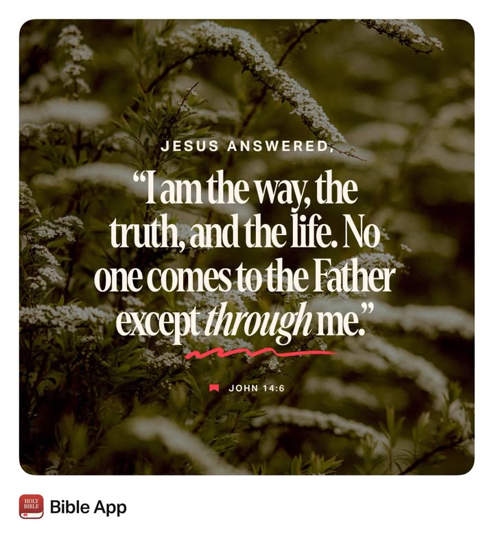 T.L.C Childrens Trust