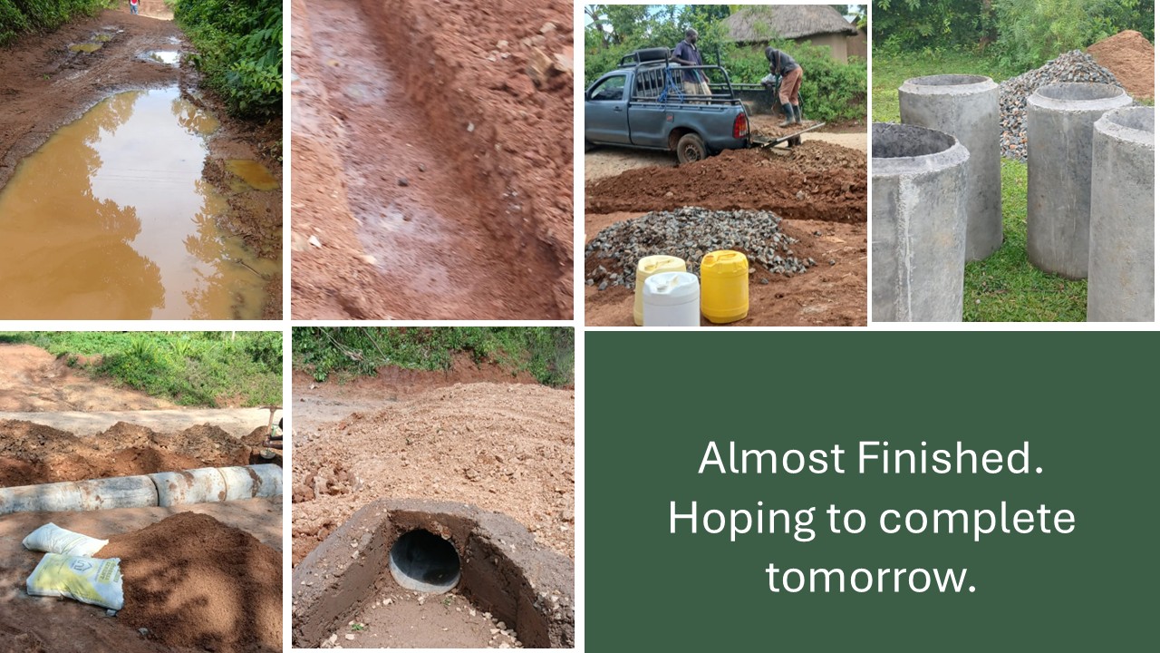 T.L.C Childrens Trust